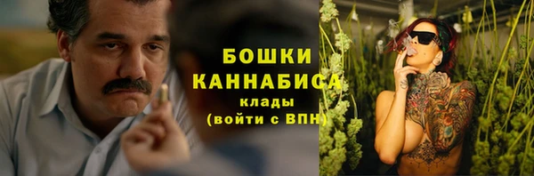 ECSTASY Богданович