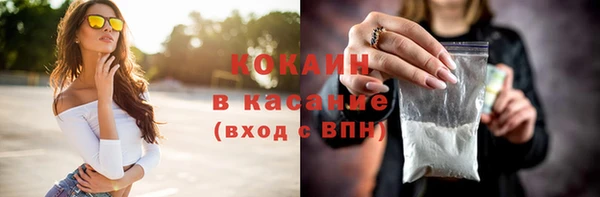 ECSTASY Богданович