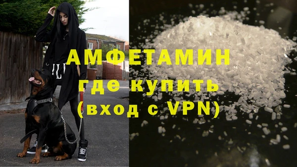 ECSTASY Богданович