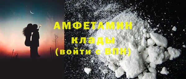 ECSTASY Богданович