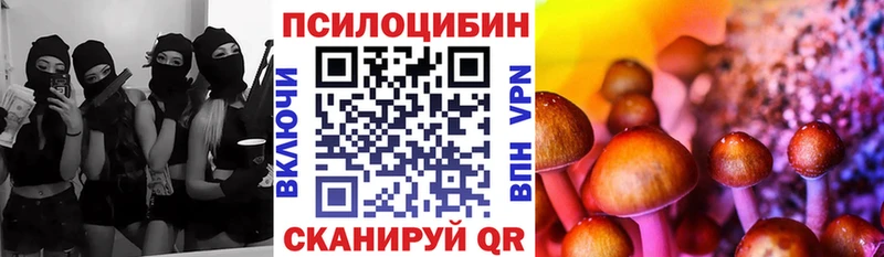 ссылка на мегу как зайти даркнет сайт Северск Галлюциногенные грибы ЛСД